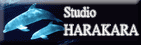 Studio HARAKARA.